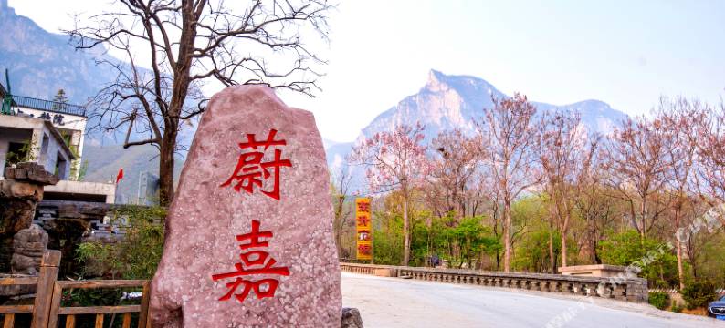 云台山蔚嘉摄影主题酒店(岸上服务区店)图片