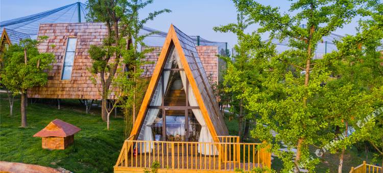 南通森迪部落树屋图片
