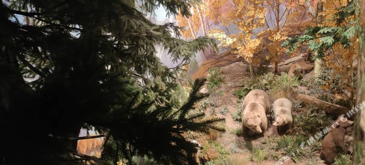 安吉地香民宿(中南百草原浙江自然博物馆店)图片