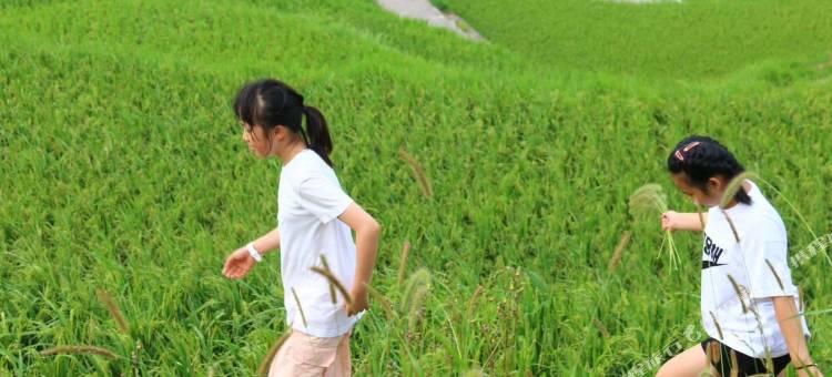 丹寨石桥纸居民宿(石桥古法造纸文化景区店)图片