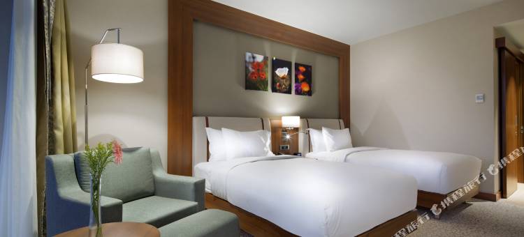 伊斯坦布尔贝利克杜祖希尔顿花园酒店(Hilton Garden Inn Istanbul Beylikduzu)图片
