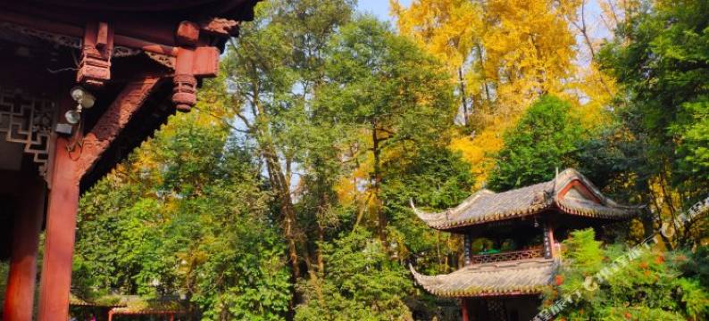 崇州泊雅公寓图片