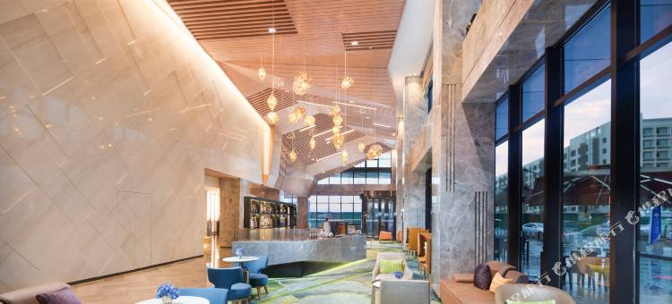 杭州萧山国际机场假日酒店(永盛路地铁站)图片