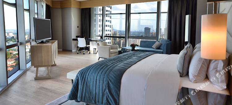 伊斯坦布尔温德姆至尊酒店及会议中心(Wyndham Grand Istanbul Levent Hotel & Conference Center)图片