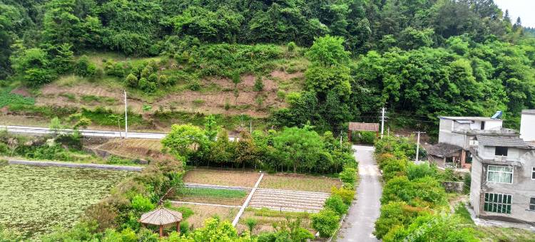 利川青山居图片