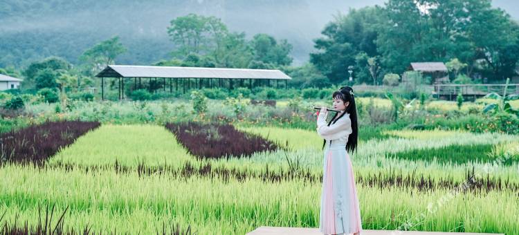 遇龙院子(阳朔遇龙河景区店)图片