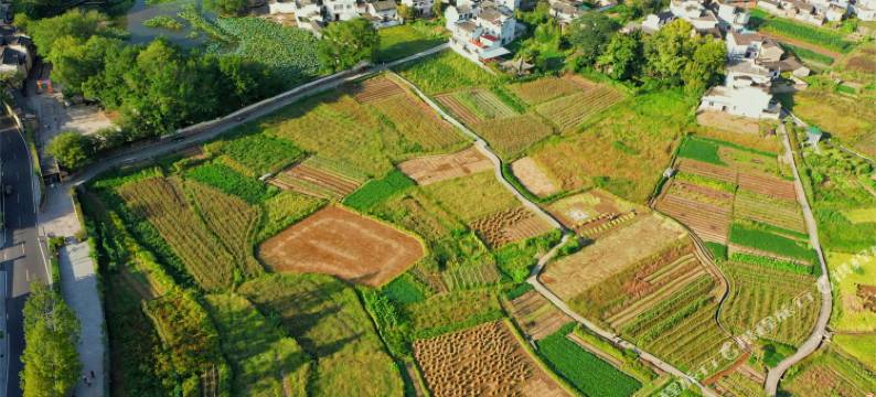 黄山谷居民宿(呈坎景区店)图片