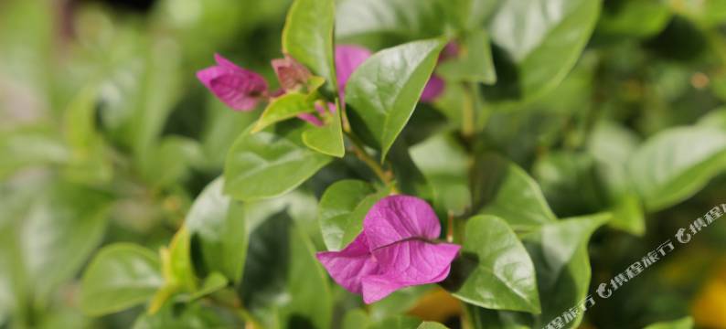 天台山清民宿(国清寺店)图片