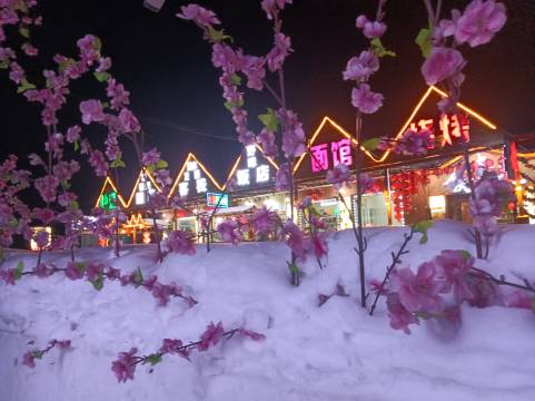 雪谷溪水龙腾客栈
