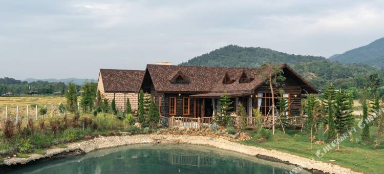 松树村(Pine Village)图片