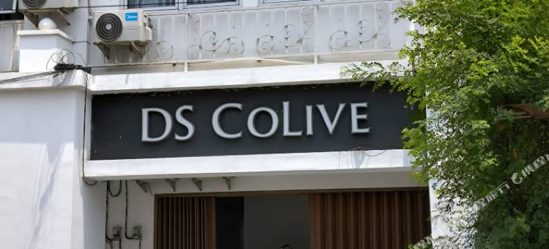 DS拉约共生酒店(DS Colive Layur)图片