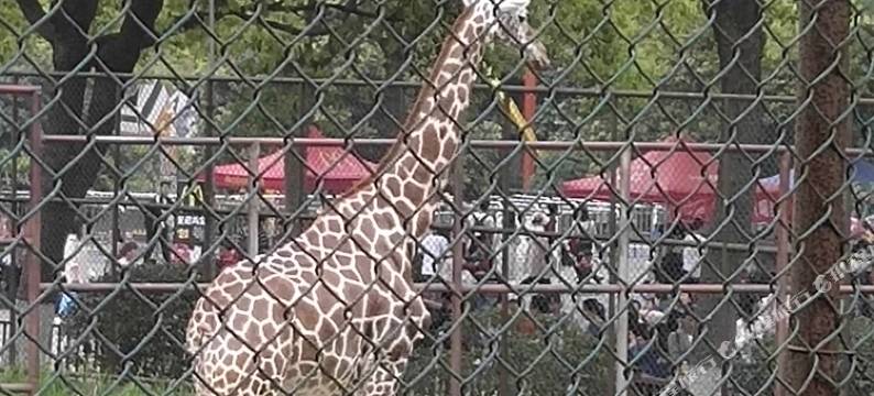 如家华驿酒店(泗洪水岸城邦步行街店)图片