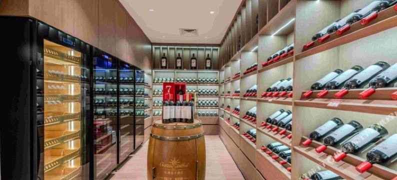 清远新好来登国际酒店图片