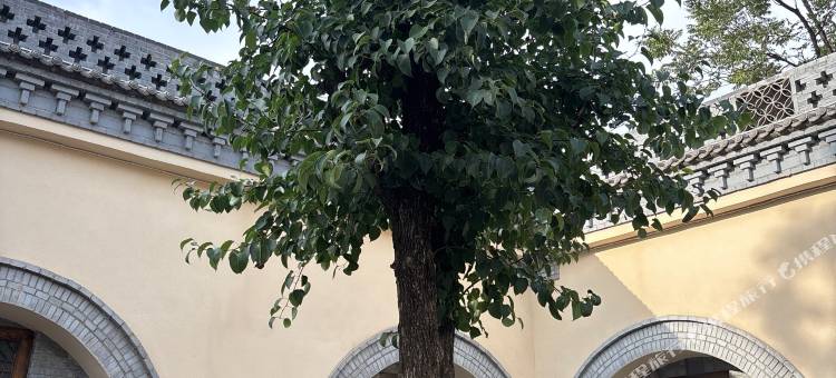 云端地坑院民宿图片