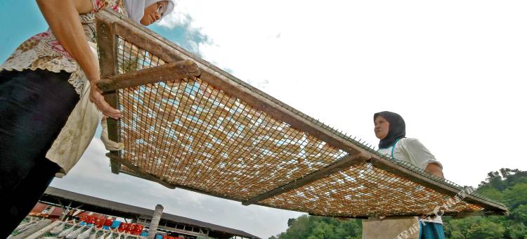 AVI邦咯岛海滩度假村(Avi Pangkor Beach Resort)图片