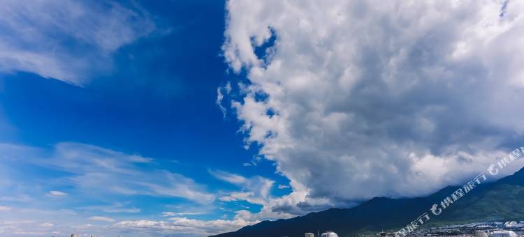 大理梧桐精品民宿图片