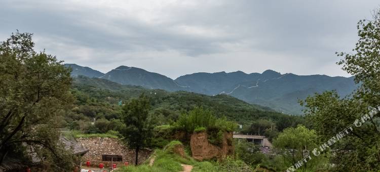 北京仙居猫小院(八达岭长城店)图片