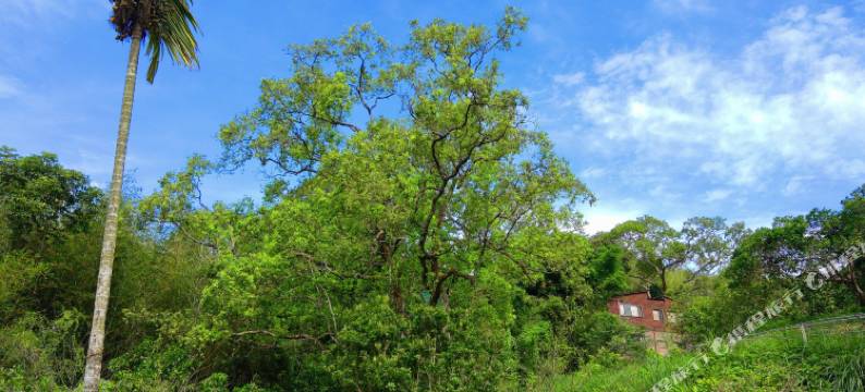 焉美术行馆图片