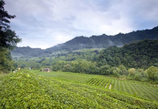 Hidden in mountains and valleys Guesthouse Hotel Overview