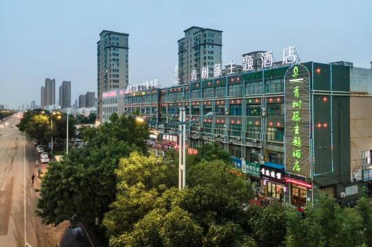 青树藤箐风酒店(聊城汽车总站万达广场店)