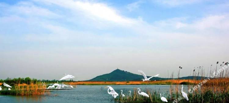 锦州凌海东方温泉酒店图片