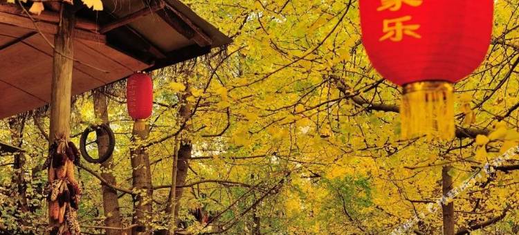 腾冲银杏村金林园农家乐图片