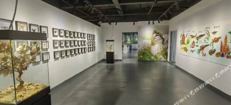 和屋秋帘民宿(千岛湖高铁站店)图片