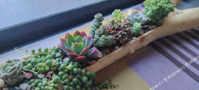 威海时光里民宿(高铁站韩乐坊店)图片