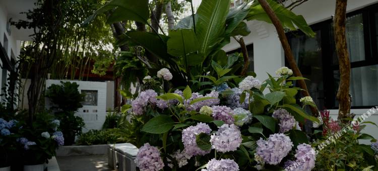 北京北平小院设计酒店图片