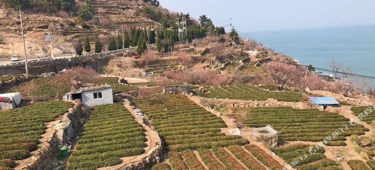 崂山望海居客栈(仰口雕龙嘴店)图片