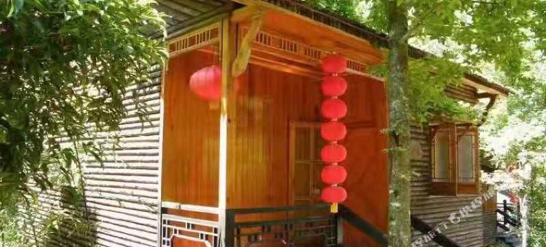 松阳红杜鹃农家乐图片