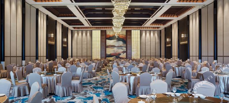 景宁天元名悦大酒店图片