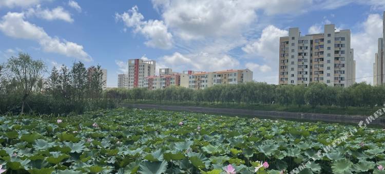 上海临港人家公寓图片