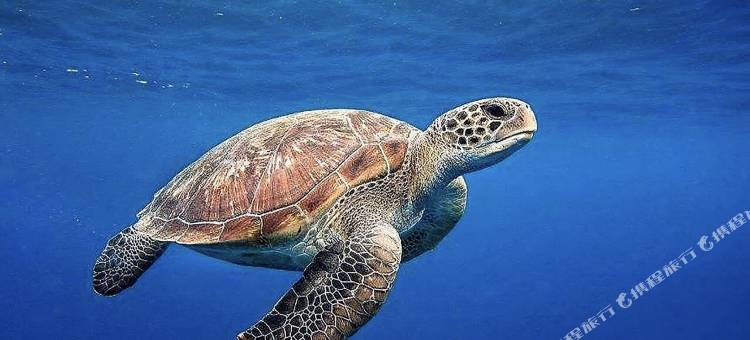 惠东双月湾虹海湾度假公寓图片