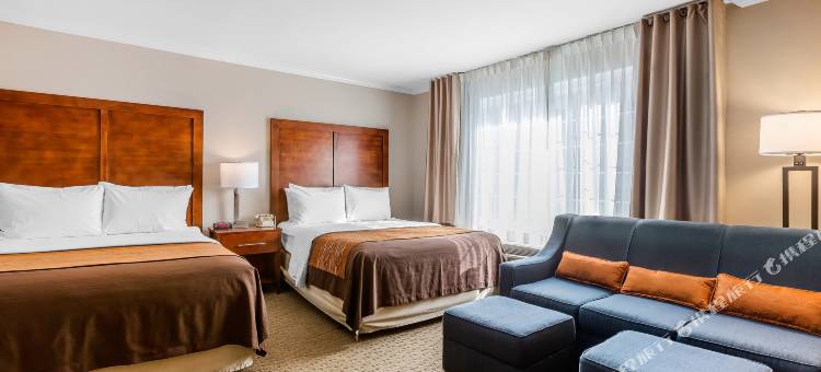舒适酒店圣莫妮卡-西洛杉矶(Comfort Inn Santa Monica - West Los Angeles)图片