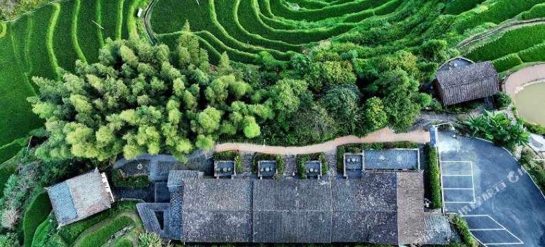 崇义木梓排民宿图片