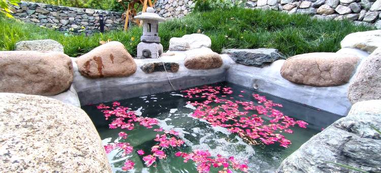 北京凡与不凡私汤温泉民宿(古北口水镇景区店)图片