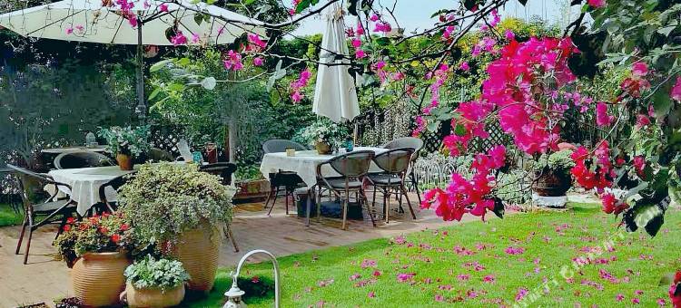 抚仙湖湖影客栈图片