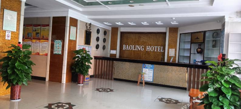 宝鸡宝陵大酒店(宝鸡站店)图片