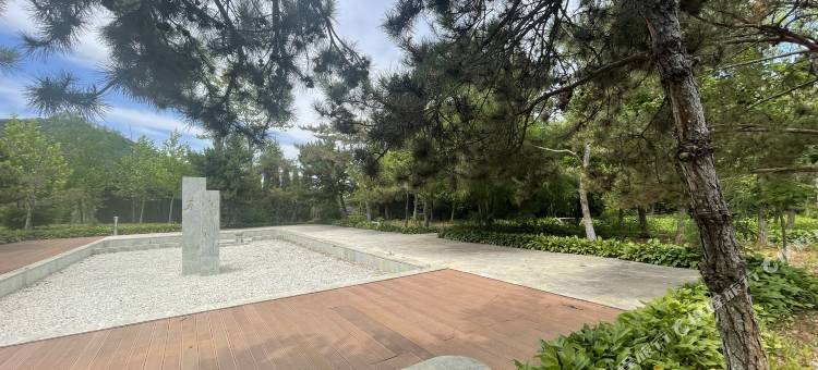 云川颂境·私汤温泉别墅(大连金石滩汤景泽温泉小镇店)图片