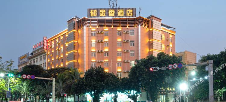 元江郁金香酒店图片