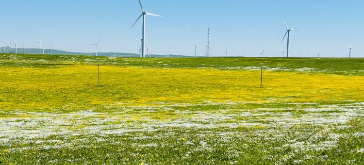 云端逸舍民宿(辉腾锡勒草原店)图片