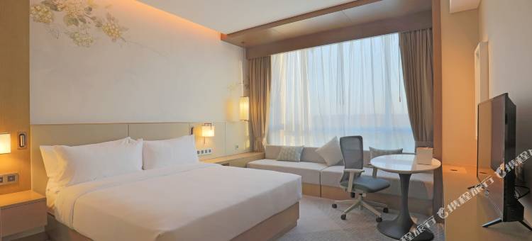 常州金坛希尔顿花园酒店图片