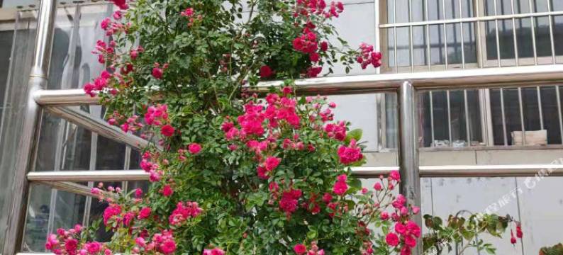 赞皇德馨大酒店图片