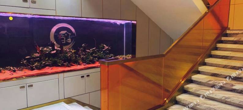 诗颜时尚酒店图片