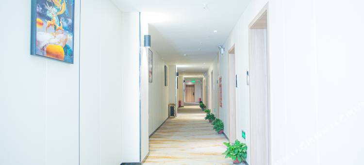 桃江格莱风尚酒店(灰山港站店)图片