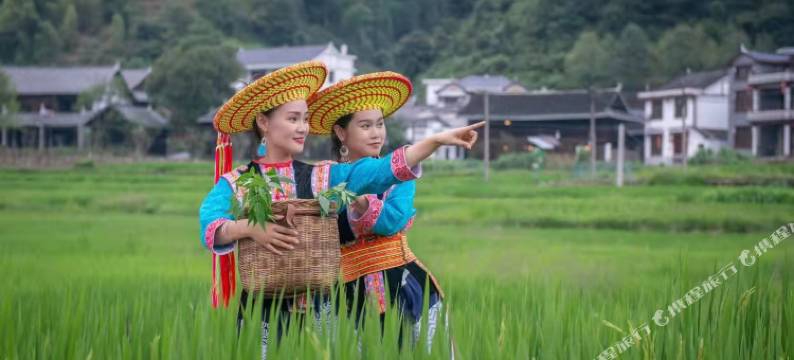 溆浦坪溪民宿图片