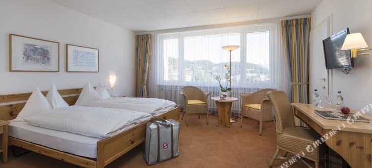 阿罗撒太阳之星酒店(Sunstar Hotel Arosa)图片