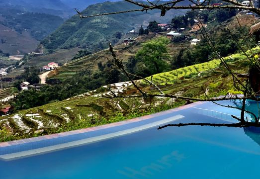 Eco Palms House - Sapa Retreat Hotel Overview