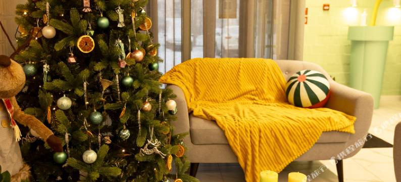 柠檬水酒店(Lemonade Hotel)图片